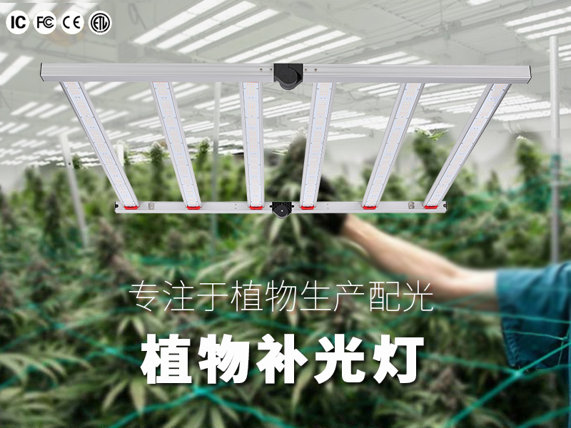 植物灯折叠款简易1.1（6爪）